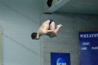Swimming vs CGA  Wheaton College Swimming & Diving vs Coast Guard Academy. - Photo By: KEITH NORDSTROM : Wheaton, Swimming, diving